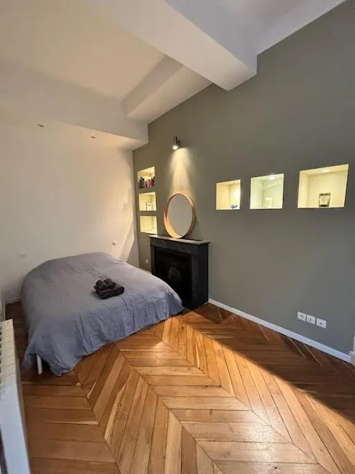 Apartment Bel Appartement Central A Lyon France