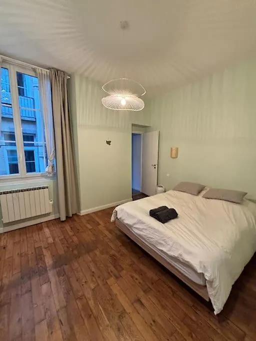 Bel Appartement Central A Lyon